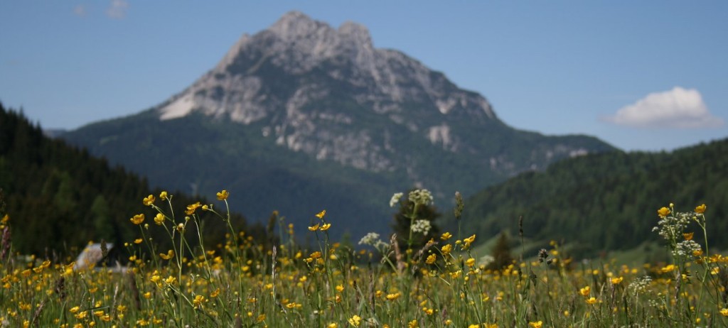 Cime delle Dolomiti sopra Sappada